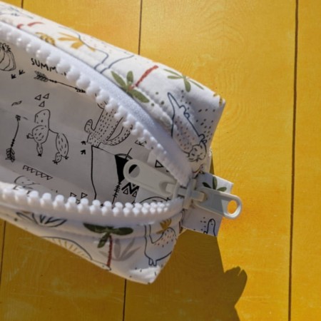 Fermeture éclair de la trousse à colorier au fond blanc avec des dinosaures