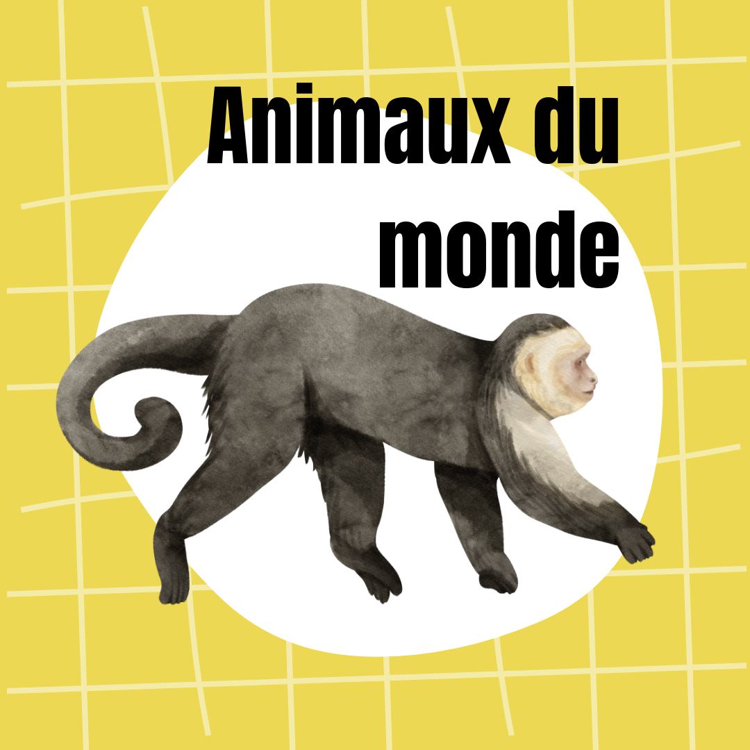 Coloriages lavables animaux du monde