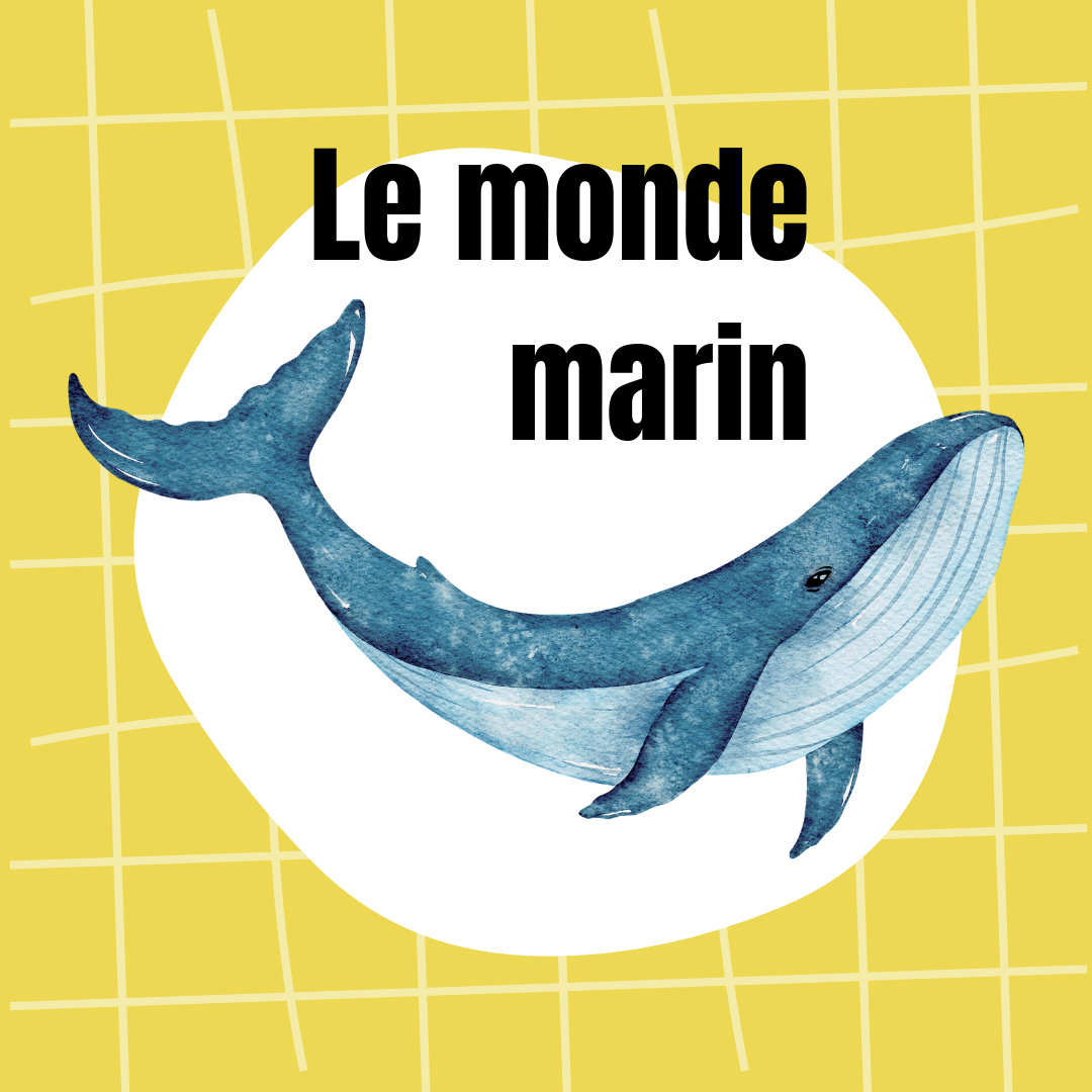 Coloriages lavables le monde marin